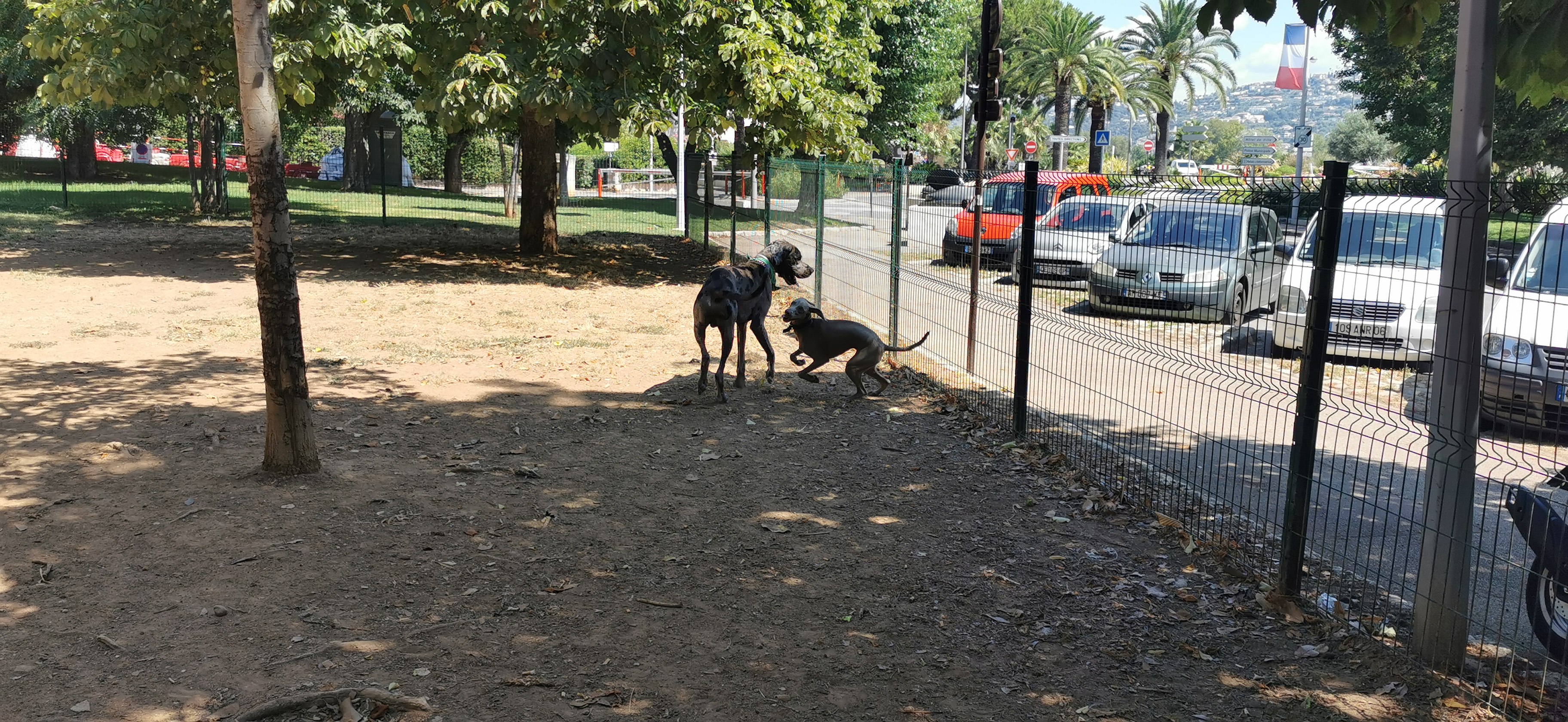 Parc pour chiens St Laurent du Var