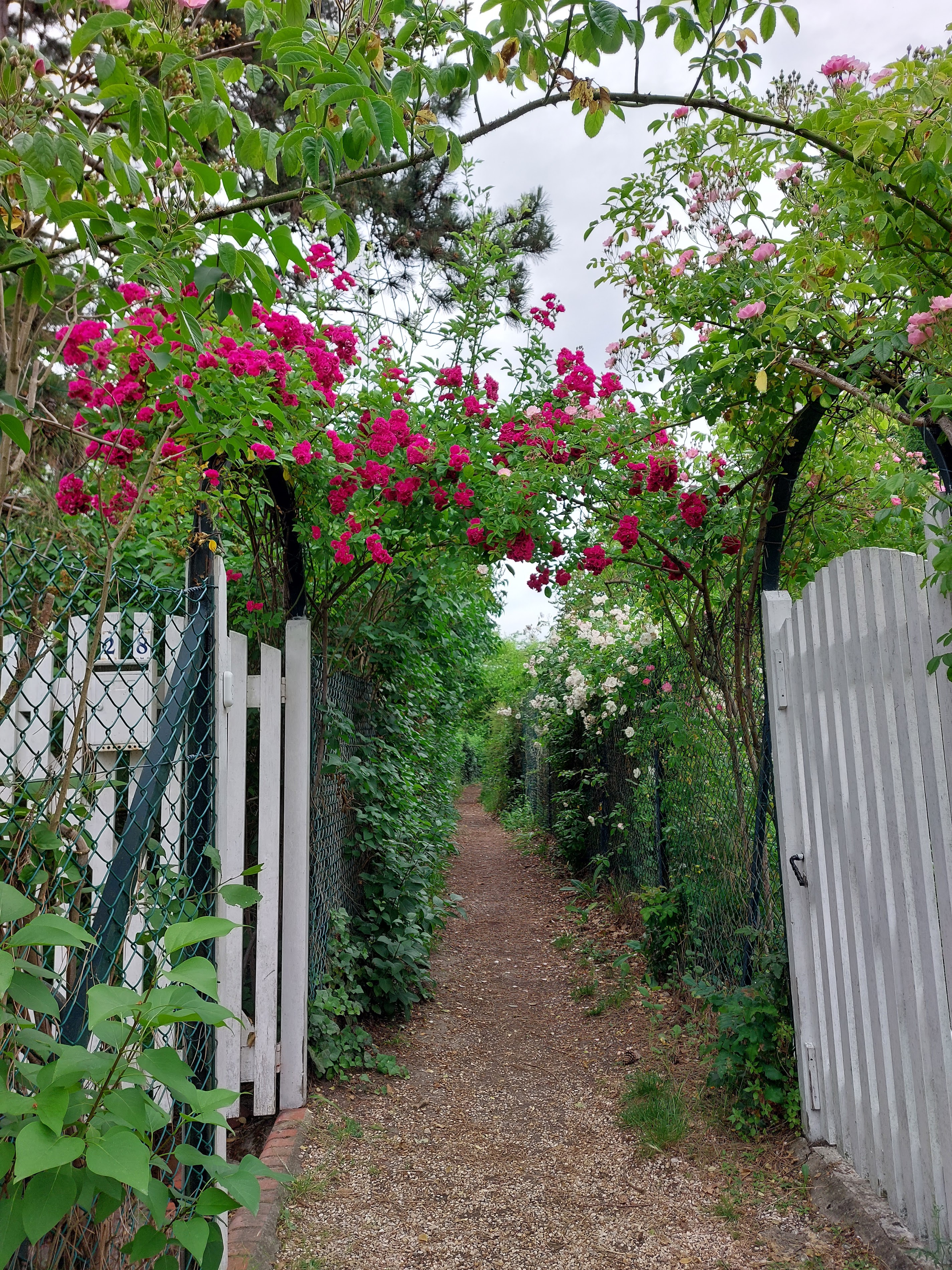Sente des coteaux vers la Frette ..mur de parpaing en projet !!!