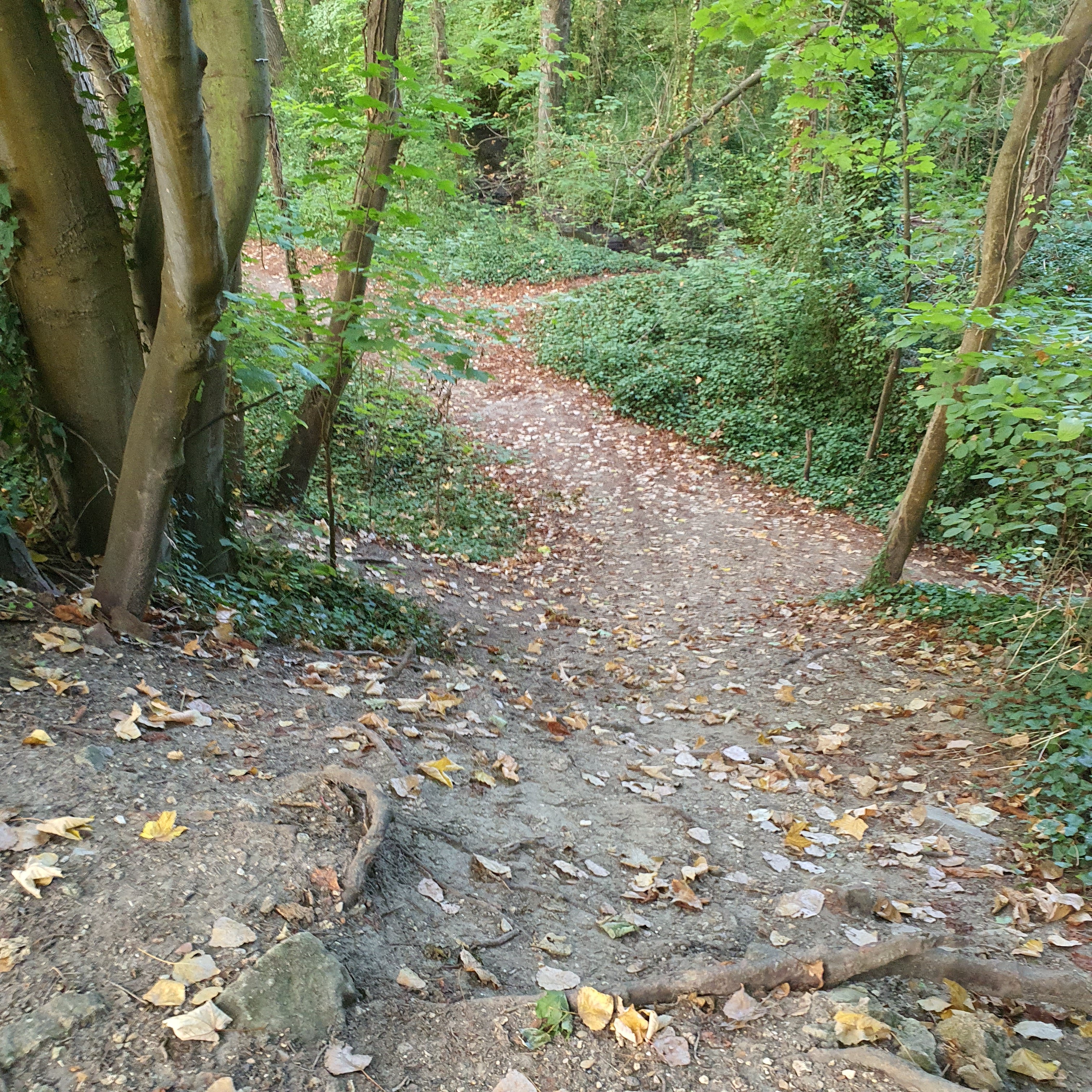 Sentier de halage, Neuilly sur Marne