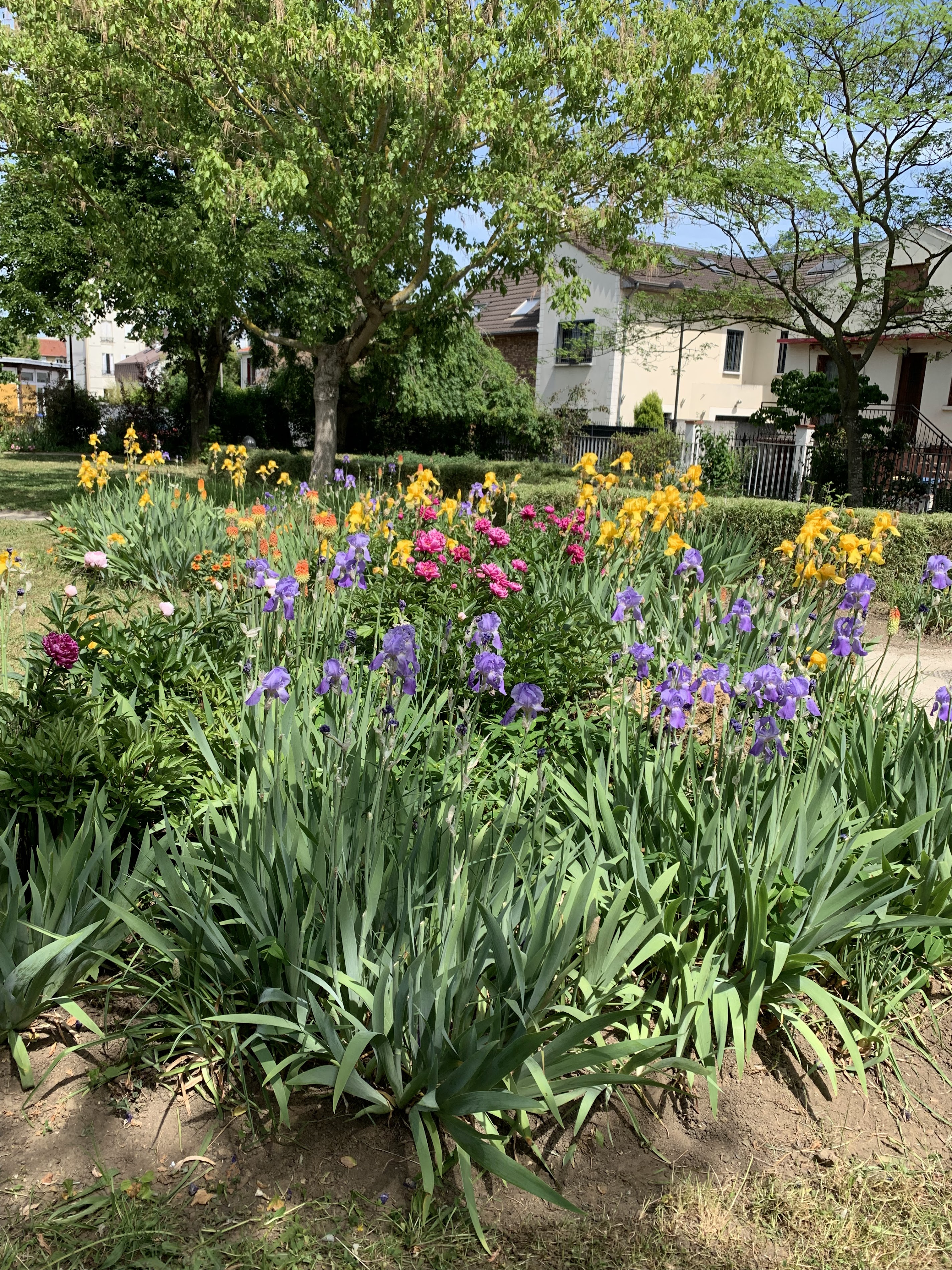 Square André Chenier