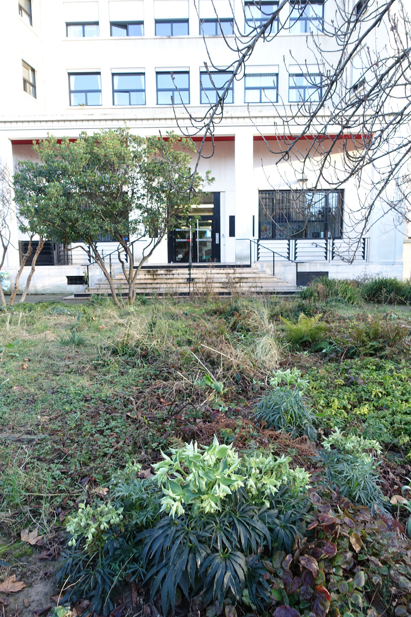 Square Marie-Trintignant: A Serene Oasis in Saint-Paul's Heart