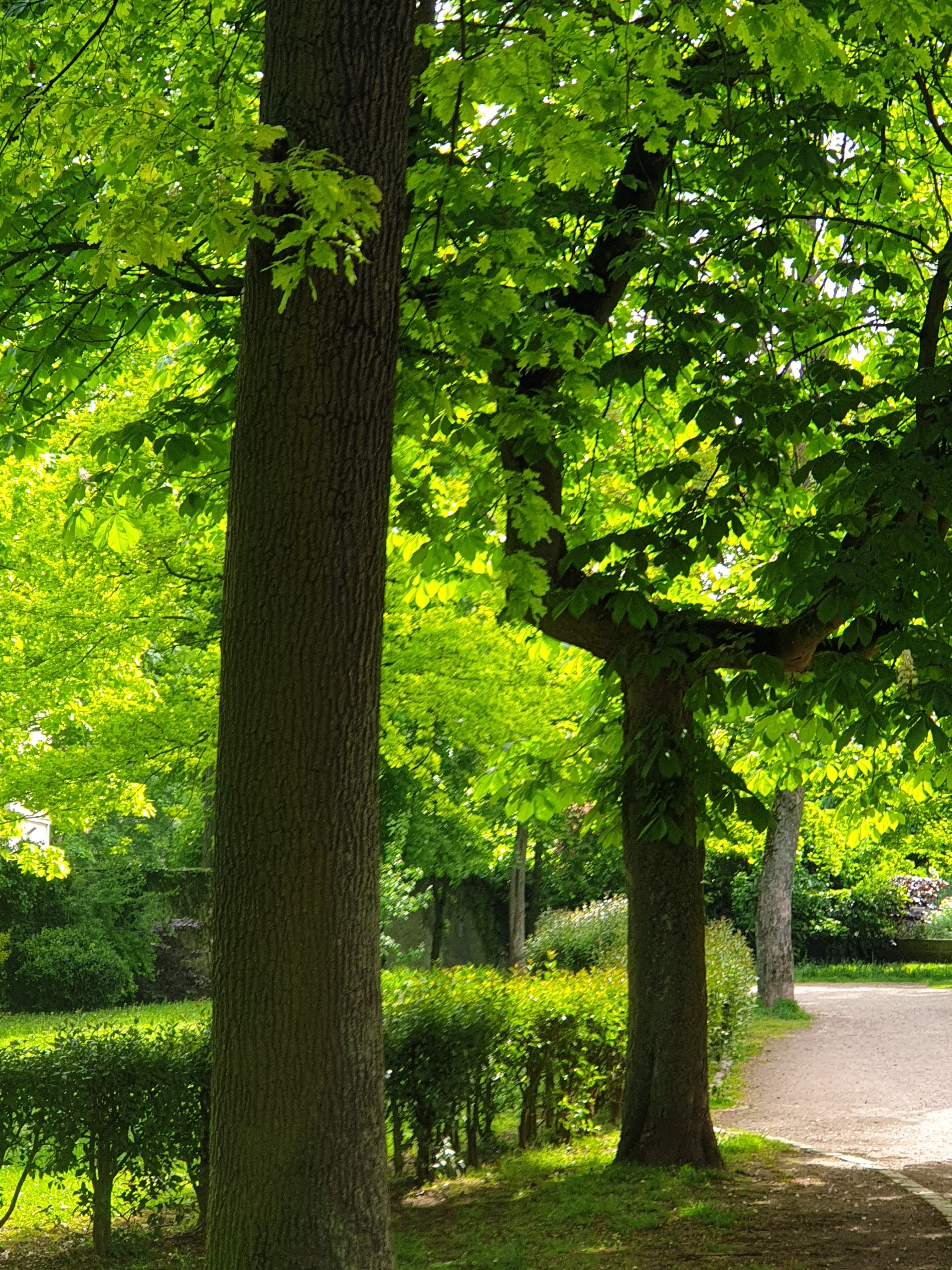 Square Salvador Allende