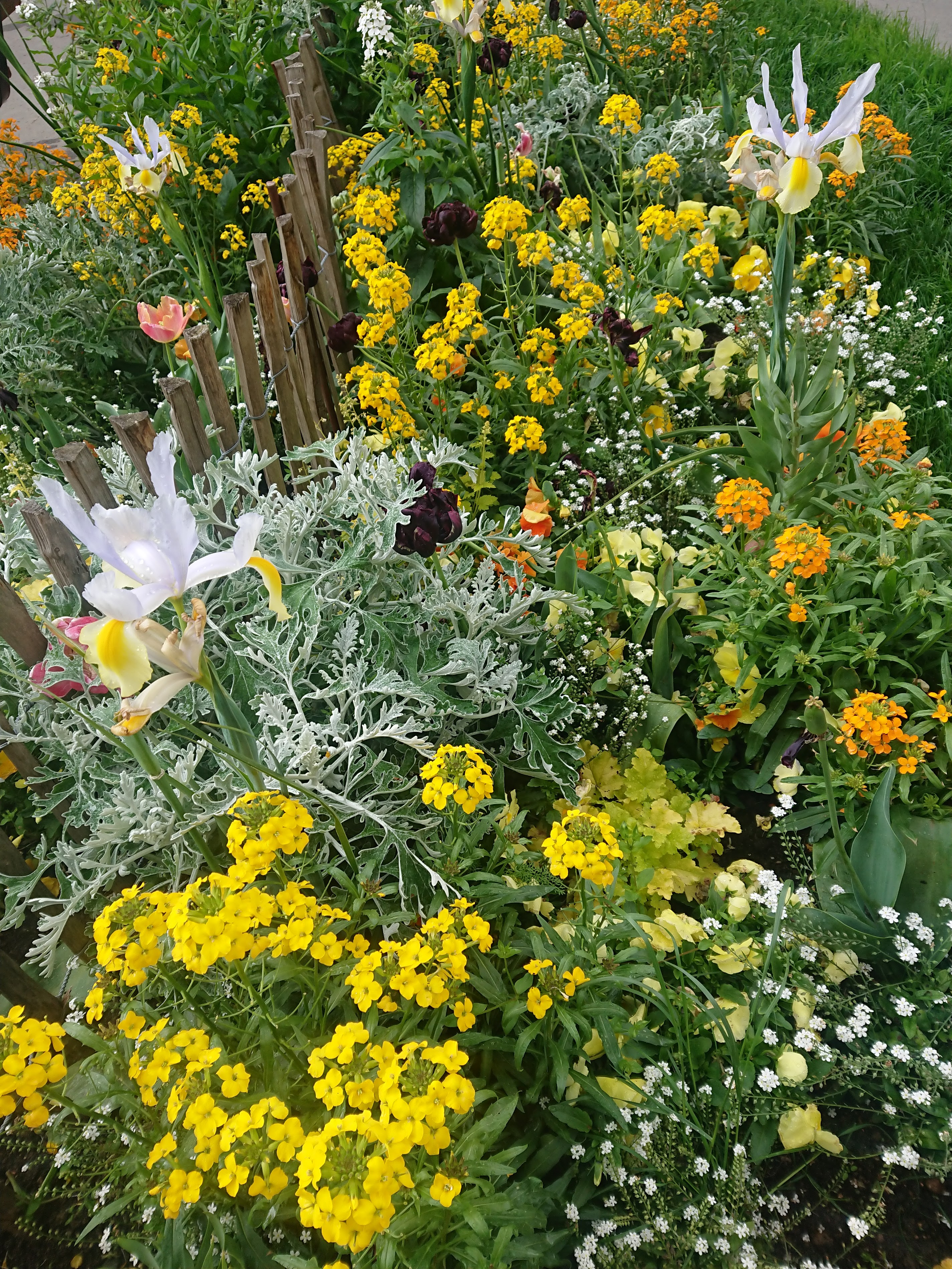 the Garden-basin of the Place Paris France