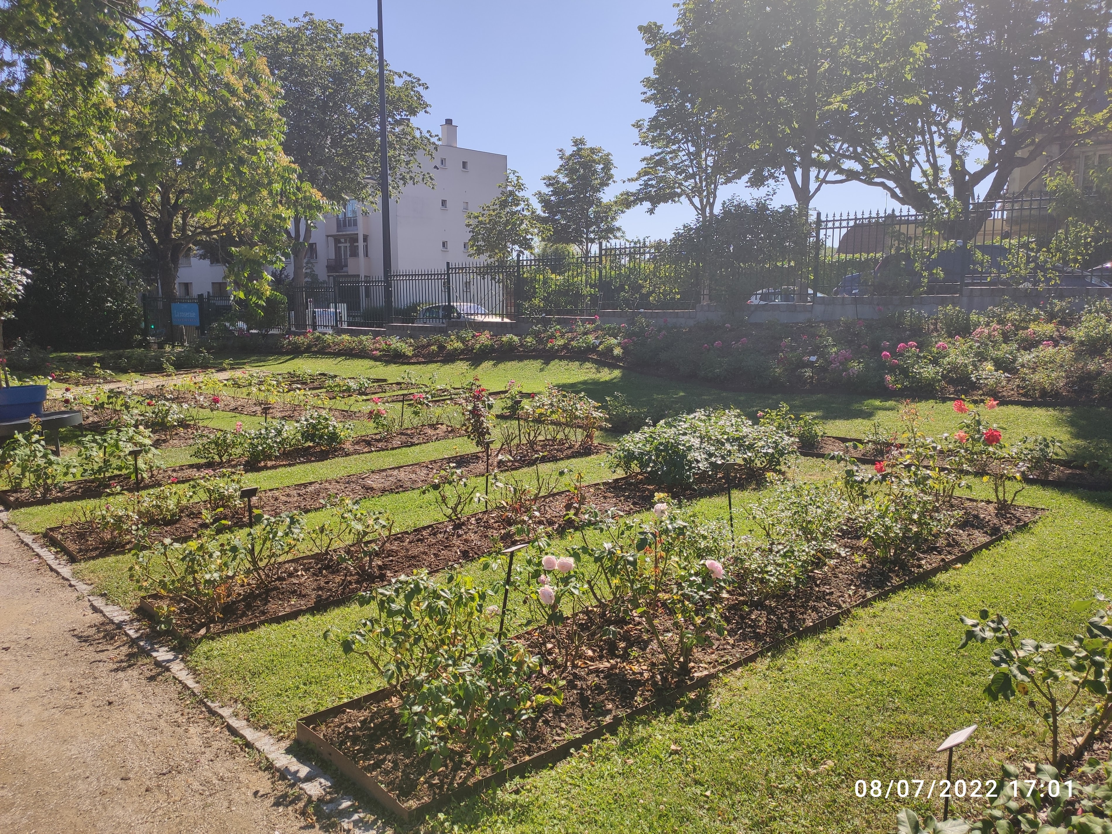 Discovering the Verger Conservatoire in Fontenay-aux-Roses