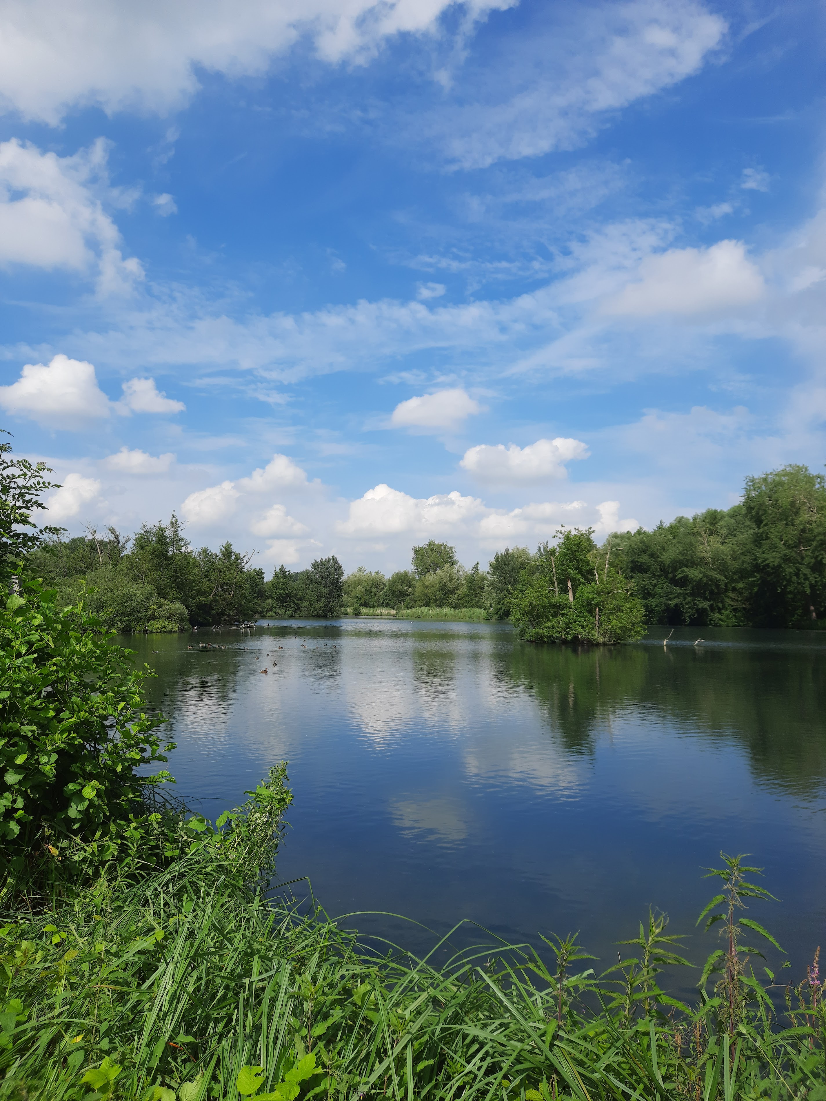 Vincent Crul guide Baie de Somme Exploration : chasse au trésor de la Bouvaque