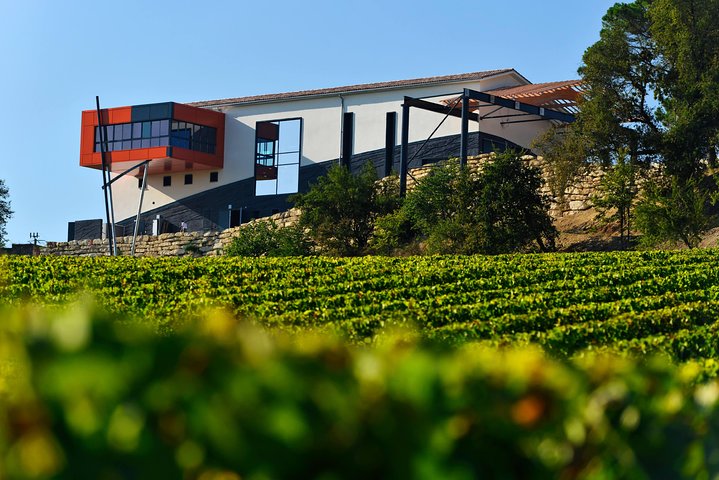 Saint-Emilion Grand Cru Clasificado: Picnic & Visita en Francés