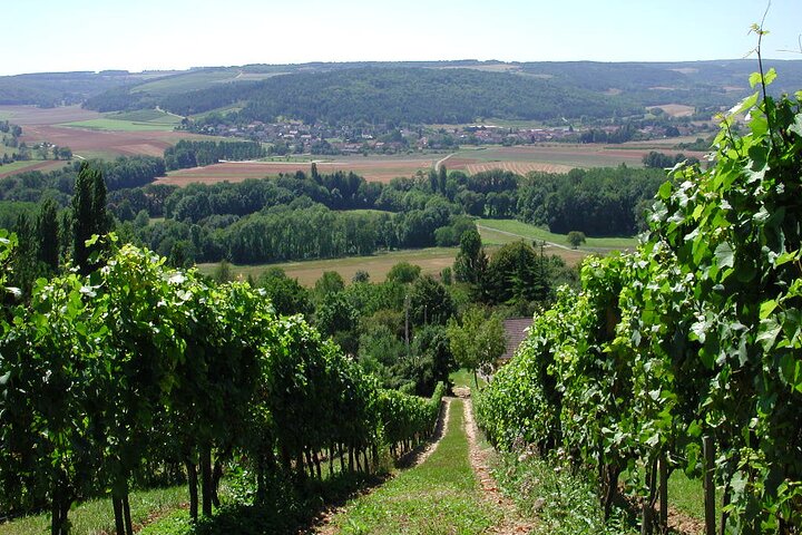 Visite-Dégustation-Vente
