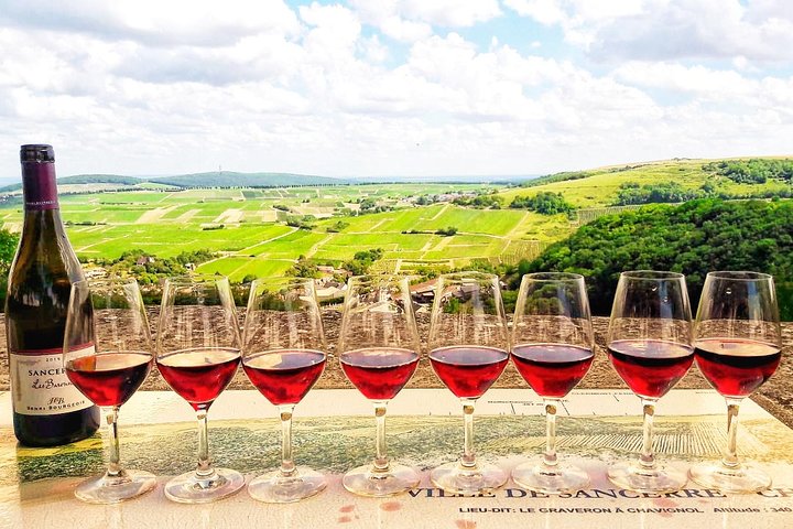 Tour privado de vino y queso a los viñedos de Sancerre desde París