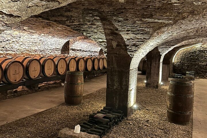 Excursion privée d'une journée dans les vignobles de Beaune et de Bourgogne au départ de Lyon