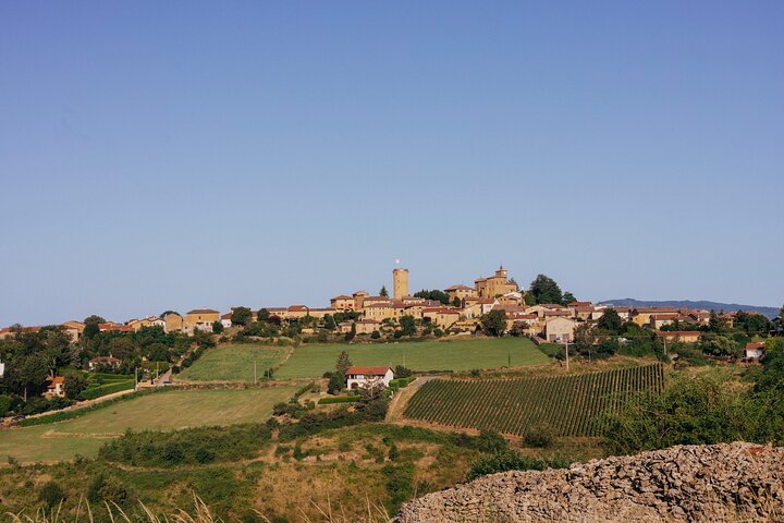 Visite privée d'une demi-journée dans le Beaujolais de la pierre dorée avec dégustations