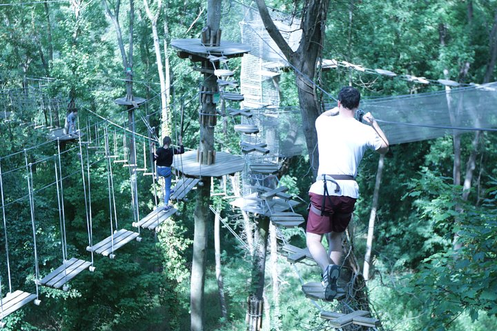 Tree Top Adventure in Rueil-Malmaison