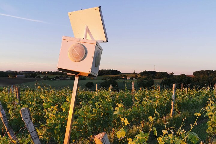 A Simple Visit Is Offered to Discover the Domaine d'Arton