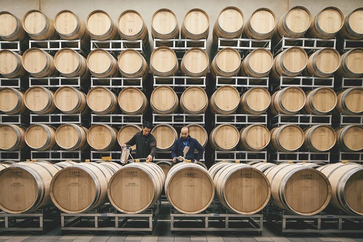 A Delightful Wine Tour is Offered in Saint-Emilion in French