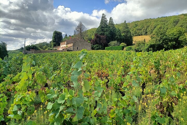 Half Day Private Beaujolais Wine Tour 