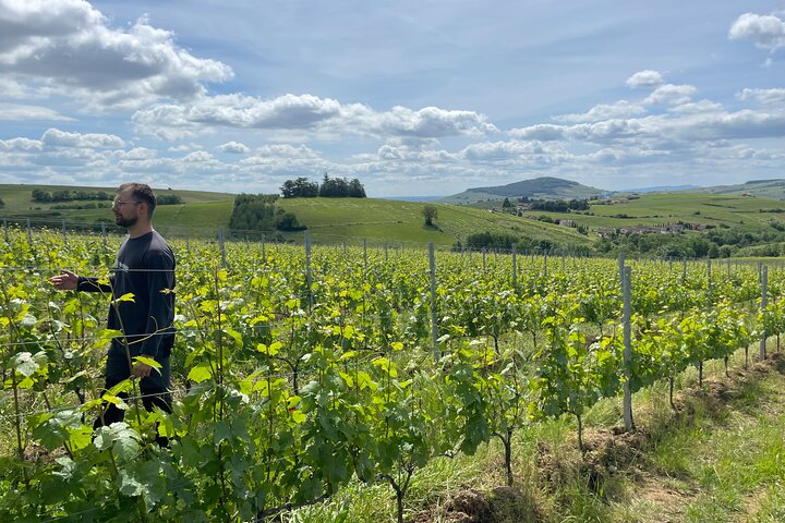 Visite privée des vins du Beaujolais 