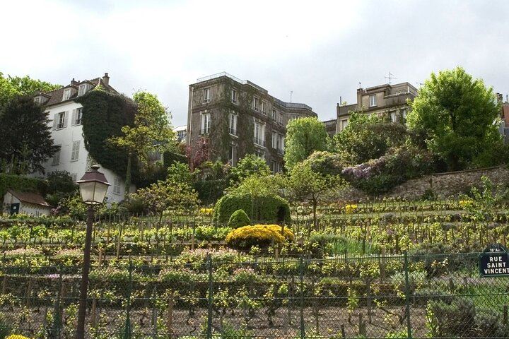 The Winegrowers’ Rally in Montmartre