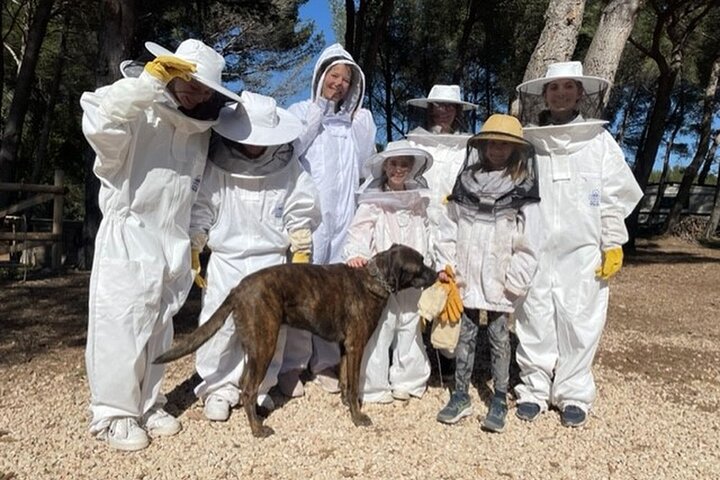 Immersion in the Life of a Hive and its Sacred Bees