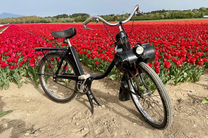 Solex tour and tasting at Domaine les Aphillanthes