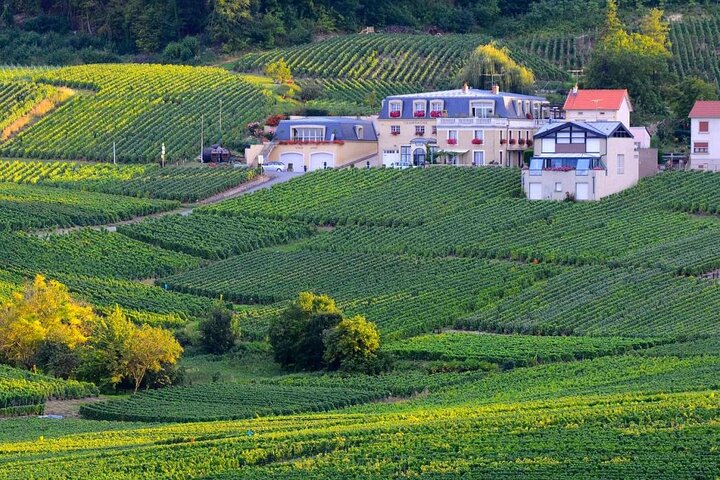 Visita de medio día al sur de Epernay y degustaciones de champán