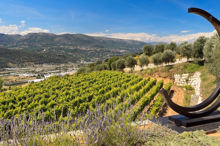 Full-day Wine Tour in Bellet & Saint-Paul de Vence from Nice