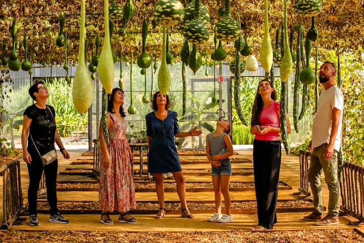 Visit of the Extraordinary Garden in La Roche sur Yon