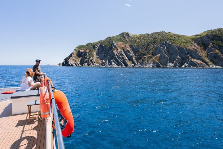 A Day and Meal Are Enjoyed on a Catamaran in Porquerolles, Brégançon, and Hyères