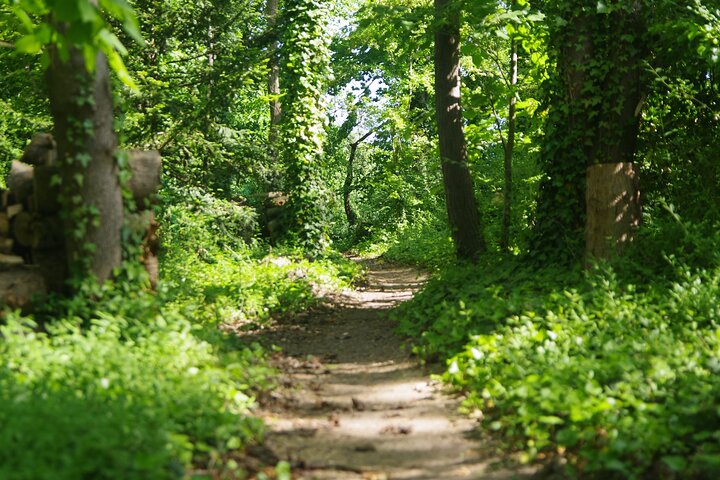 The Path of the Last Table is Rooted