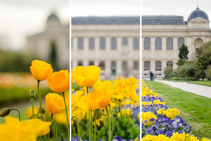 Workshop de perfectionnement